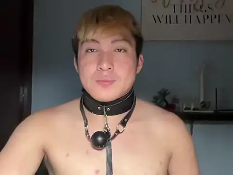 Kingdirtyfog webcam
