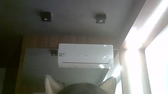 SkinnyKitten live cam