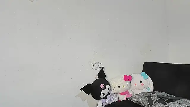 Eirlysx webcam