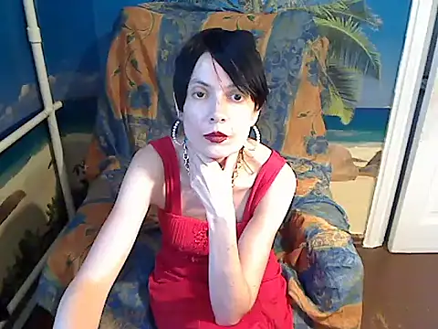 Bastet12 webcam
