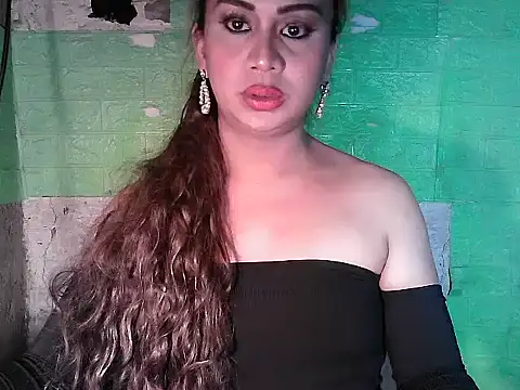 godescock webcam