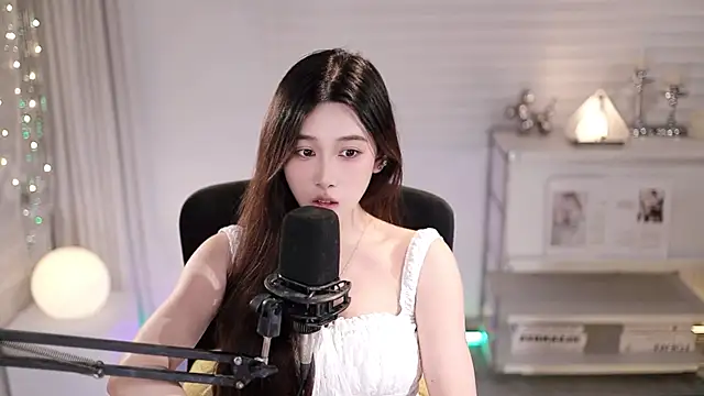 SleepArtist webcam