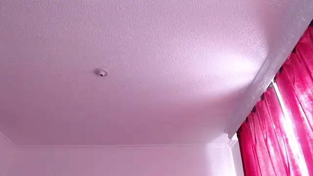 VALERY_MEER webcam