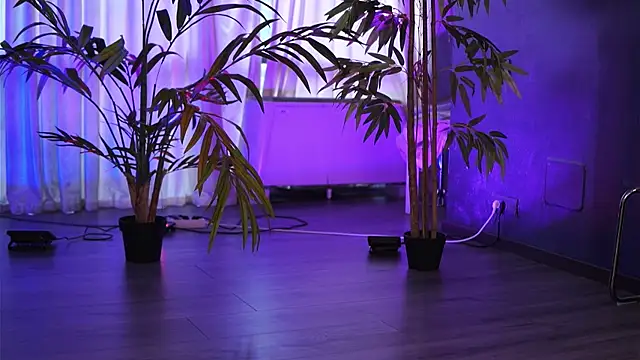 HotBustyBabeX live webcam show