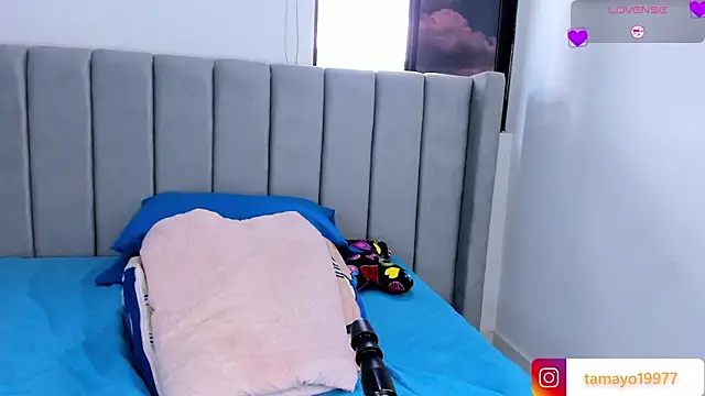 _kaarla_ webcam