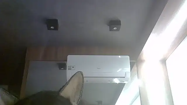 SkinnyKitten live cam