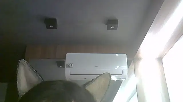 SkinnyKitten webcam