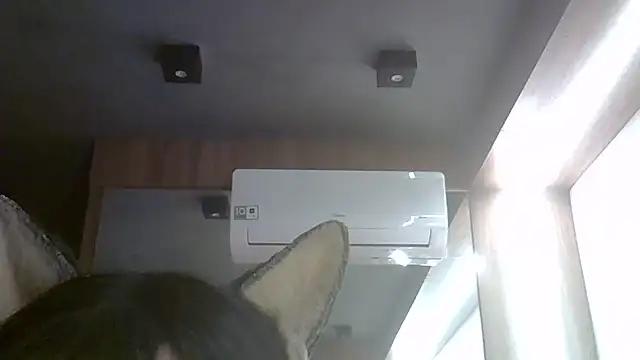 SkinnyKitten live sex cam