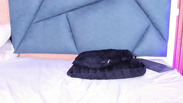 LaurentFerrer webcam