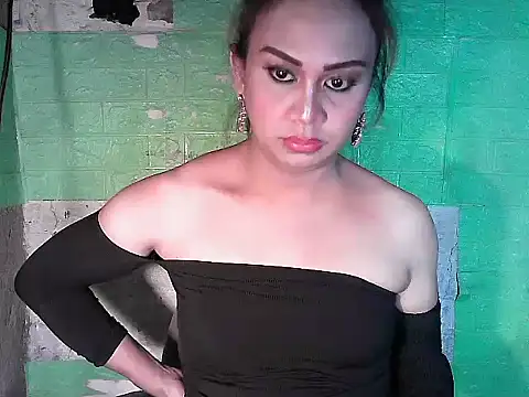 godescock webcam