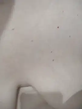 kBossgirls