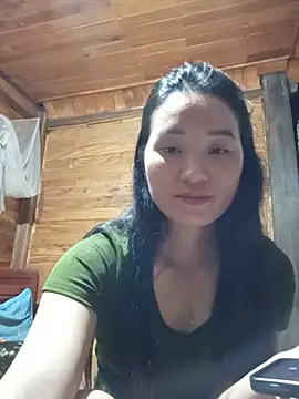 Td3di webcam