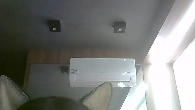 SkinnyKitten live cam