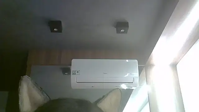 SkinnyKitten live cam