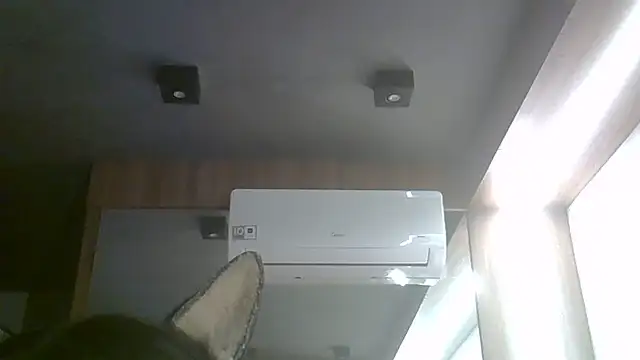 SkinnyKitten webcam