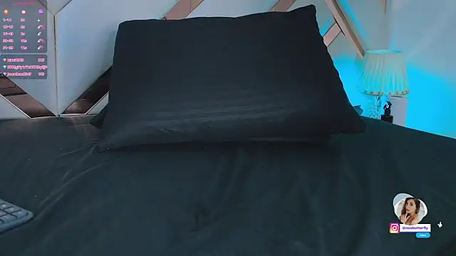Noa_butterfly_ webcam