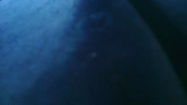LiaHarryis webcam