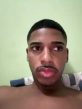 pretin19cm1 webcam