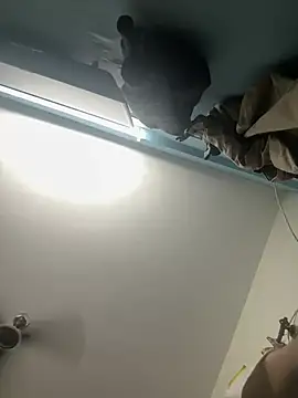 Bangloreboy10 webcam