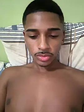 pretin19cm1 webcam