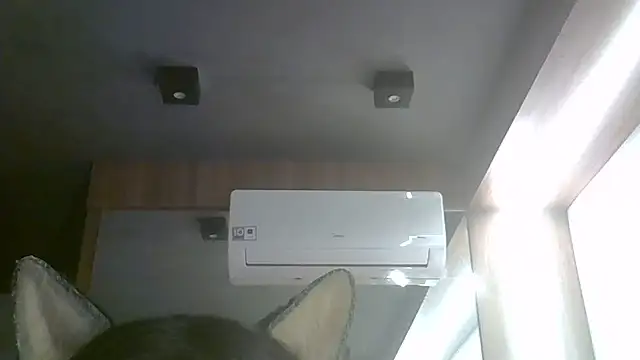 SkinnyKitten live cam