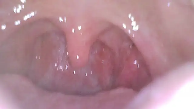 karol_stom webcam