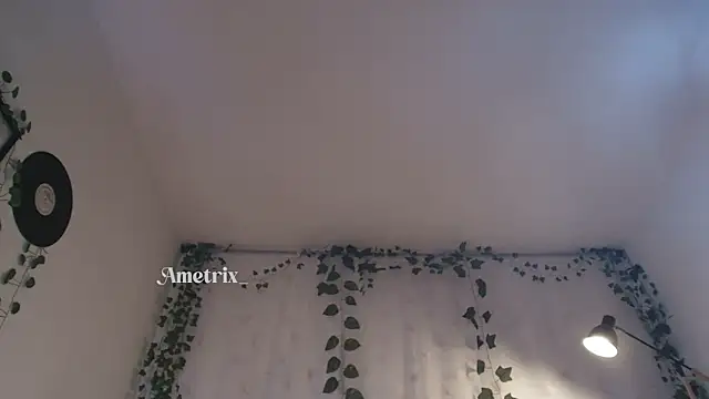 Ametrix_ webcam