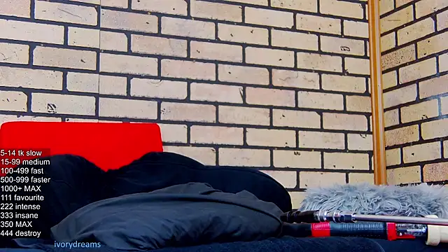 IvoryDreams webcam