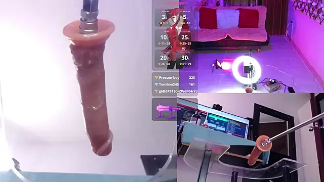 Roxylicious__ webcam