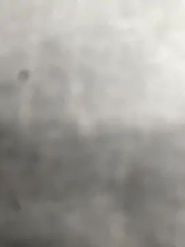 Flacohot6 webcam
