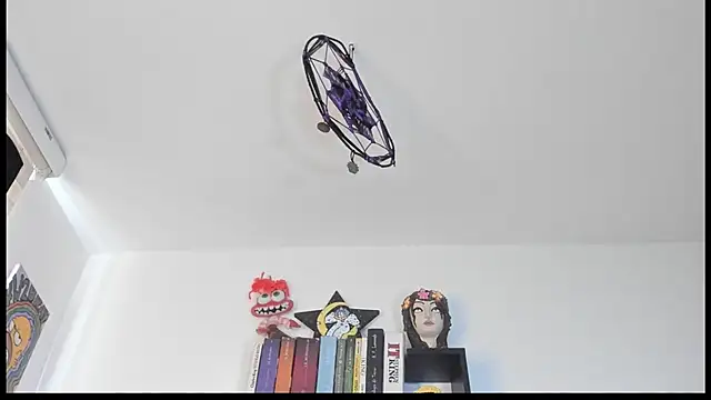 velmoon webcam