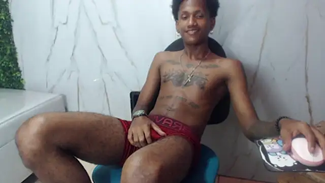 ManSant webcam