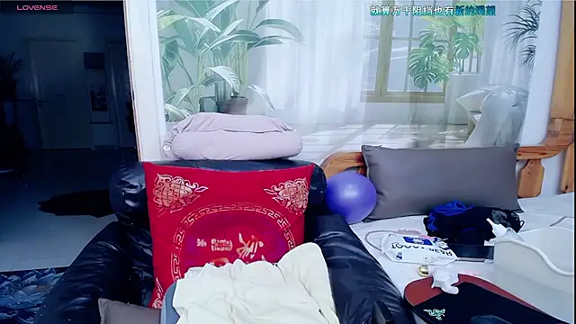 amysasa webcam