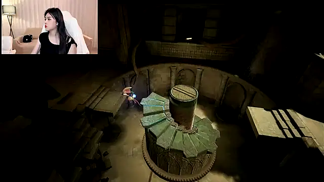 BlackCanbaobao webcam