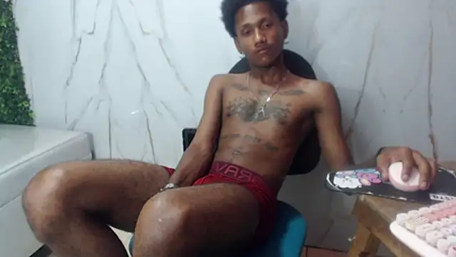 ManSant webcam