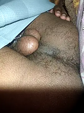 raiad webcam