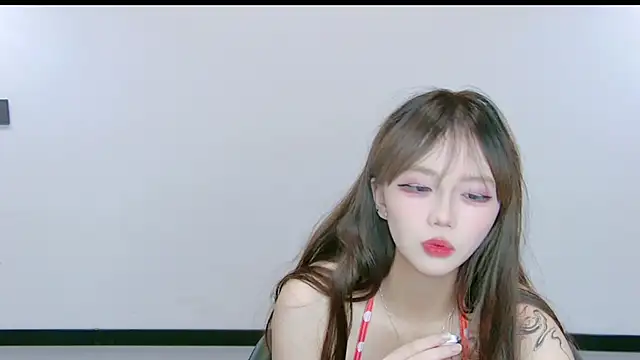 YY-3344 webcam
