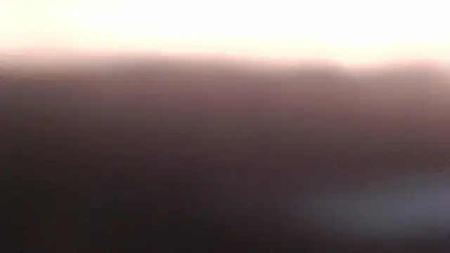Michell_Roux webcam