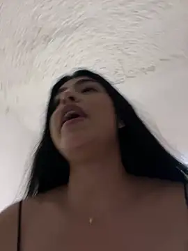 Misty-kat webcam