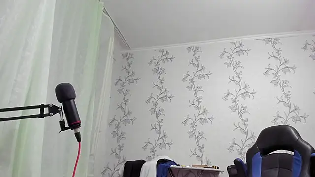 SanFrantsisko webcam