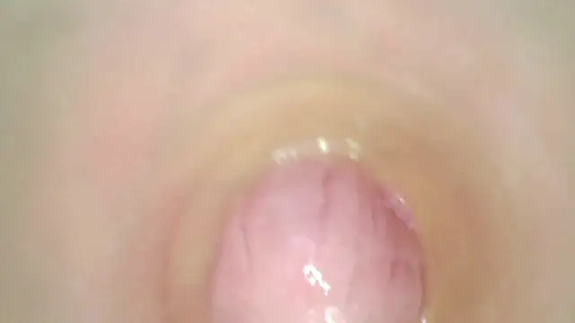 karol_stom webcam