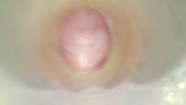 karol_stom