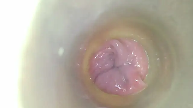 karol_stom webcam