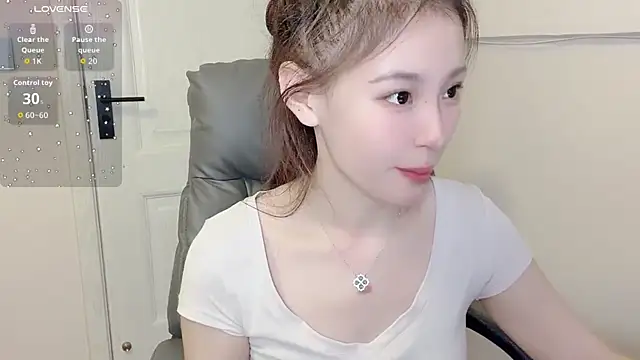 H-2005 webcam