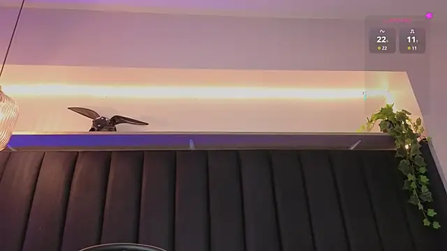 Isa_dumont webcam
