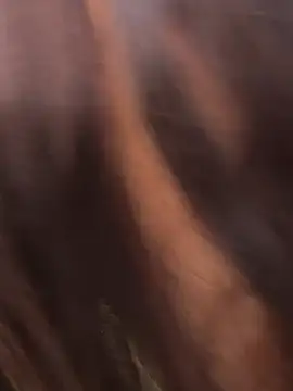 SophiaXJohn webcam