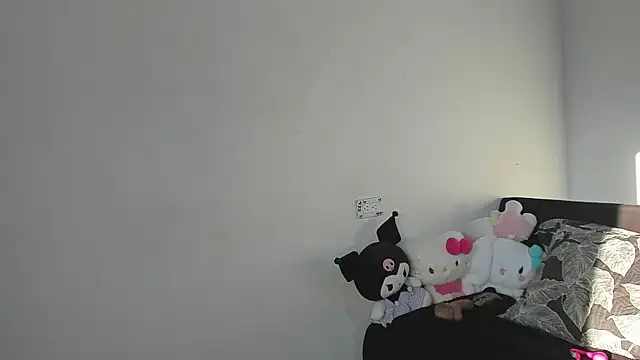 Eirlysx webcam