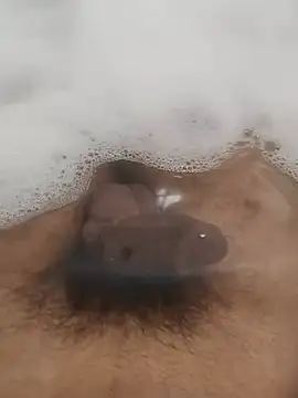 brownskinbull1 webcam