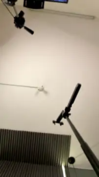 MiaPetit_ webcam