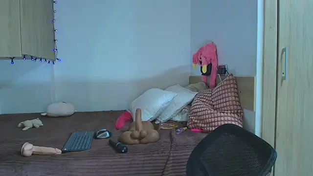 Charlotte11-11 webcam